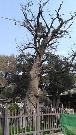 IMG_20171102_125527.jpg