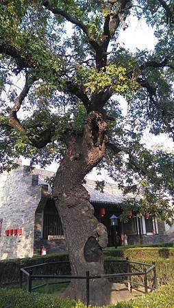 IMG_20171105_152645.jpg