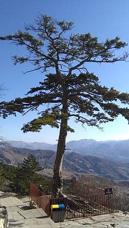 IMG_20171030_135212.jpg