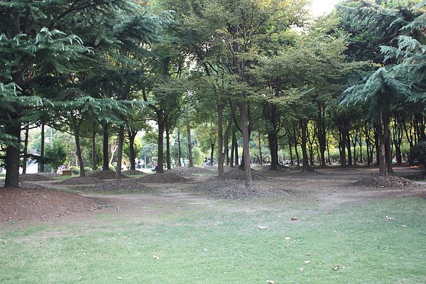 四季公園一景