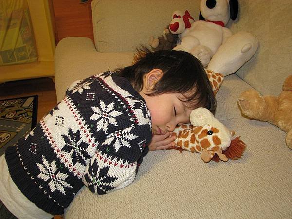 sleeping-824601_1920.jpg