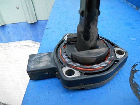 DSCN6147.jpg
