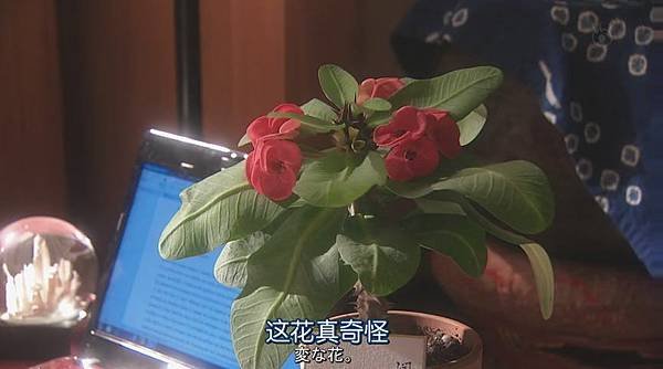 朝5晚9～帅气和尚爱上我02[08-28-21].JPG