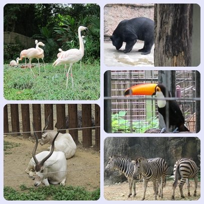 動物園01.jpg