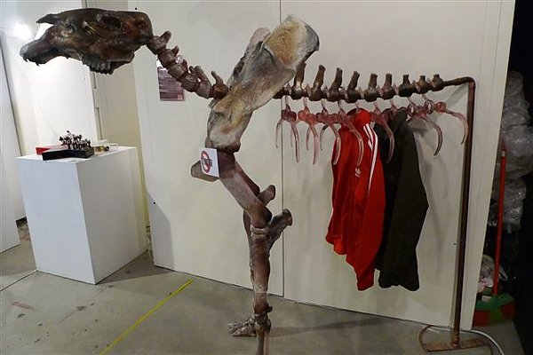 P1050560.JPG