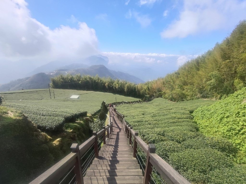 阿里山追雲海