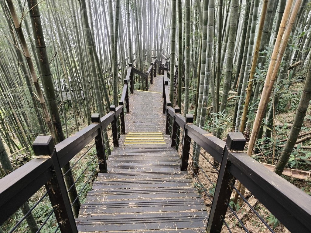 阿里山追雲海