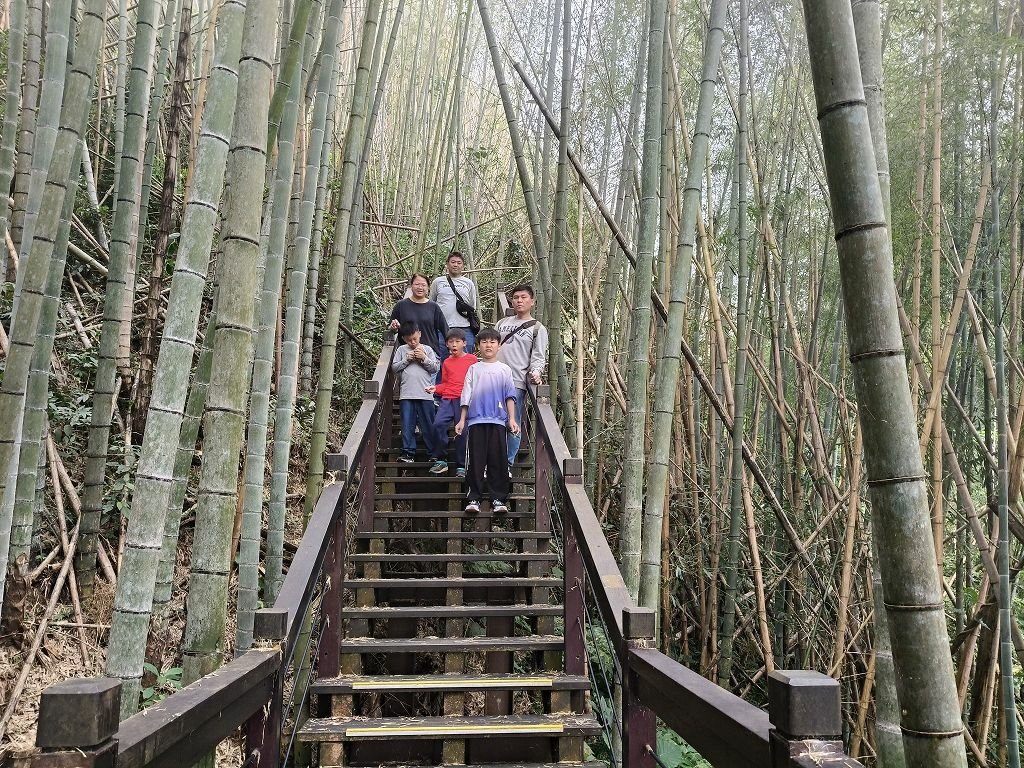 阿里山追雲海