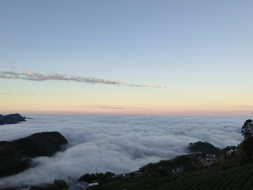 阿里山追雲海