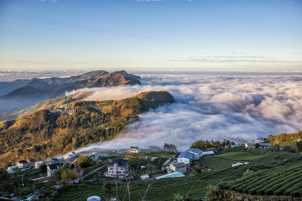 阿里山追雲海