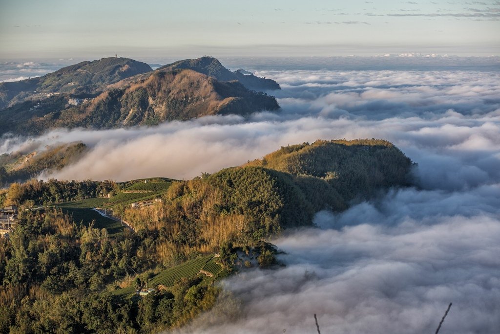 阿里山追雲海