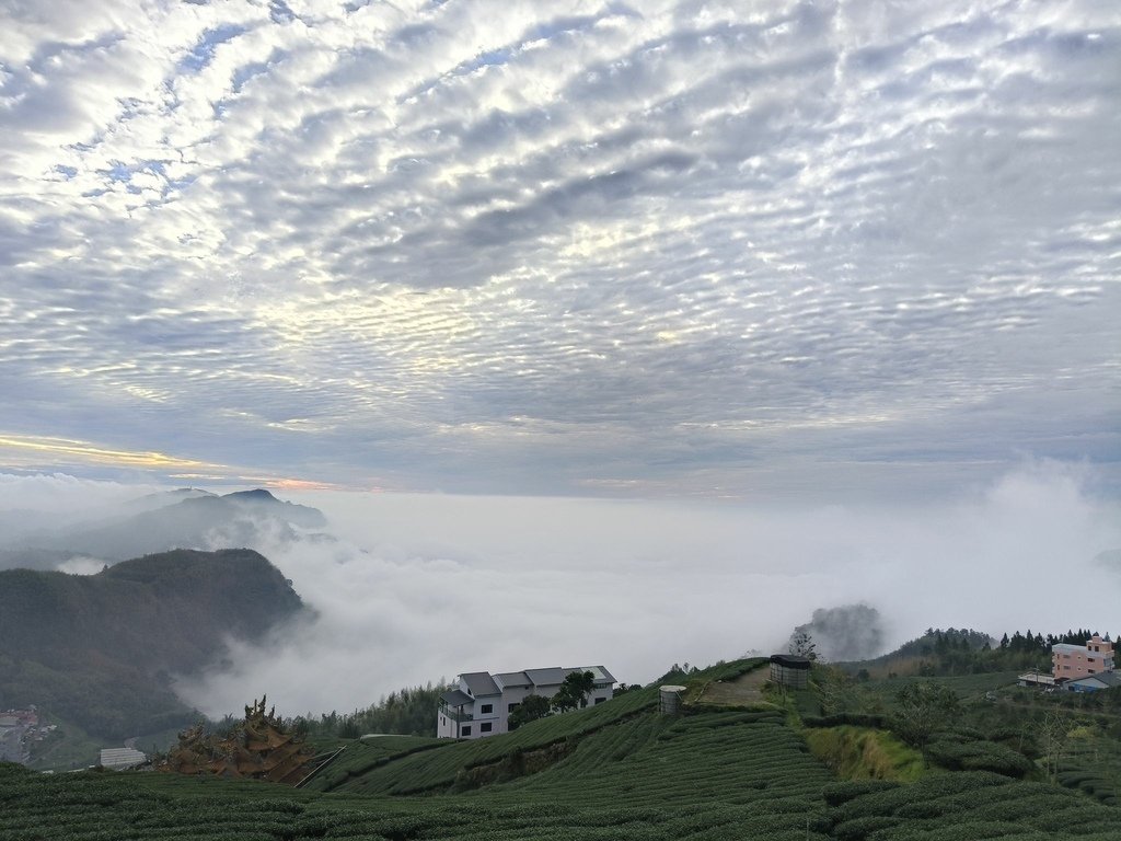 阿里山追雲海