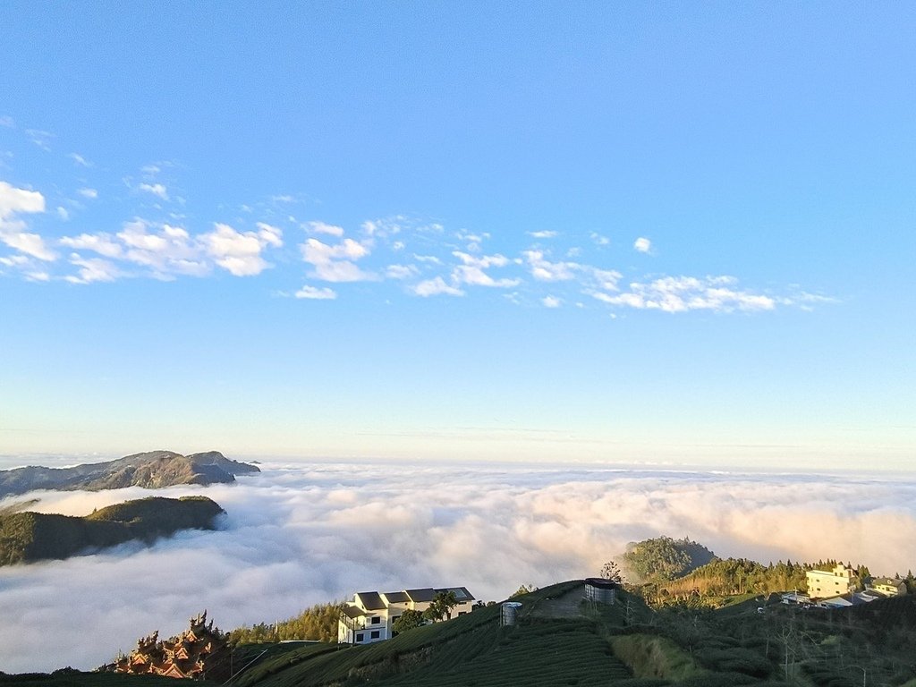 阿里山追雲海