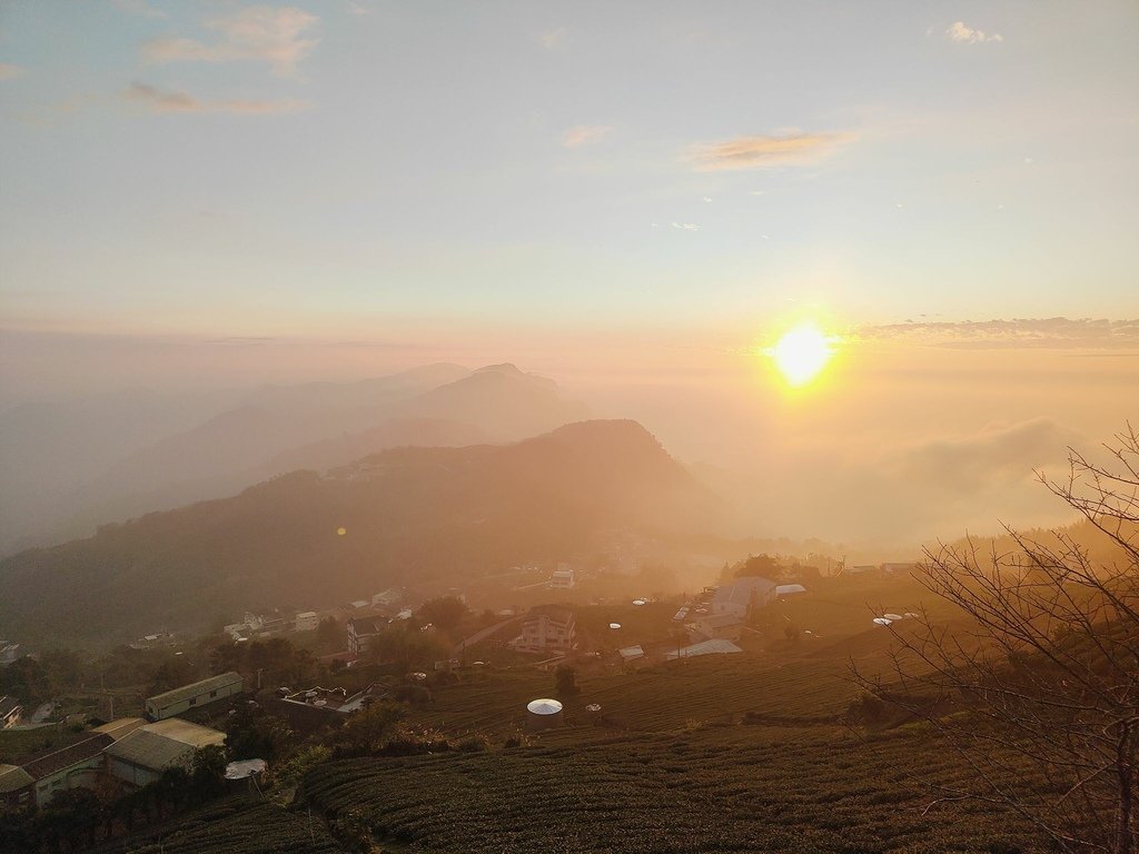 阿里山追雲海