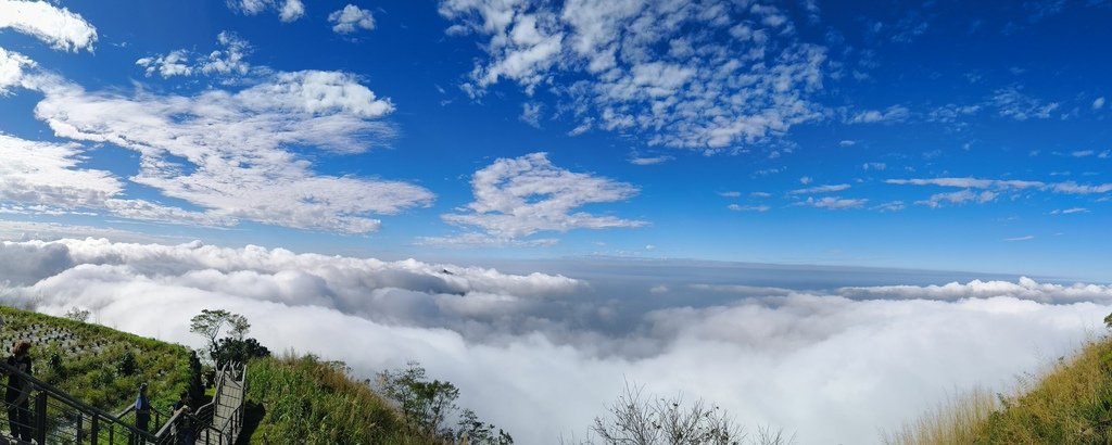 阿里山追雲海