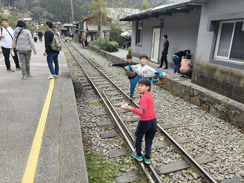 阿里山追雲海