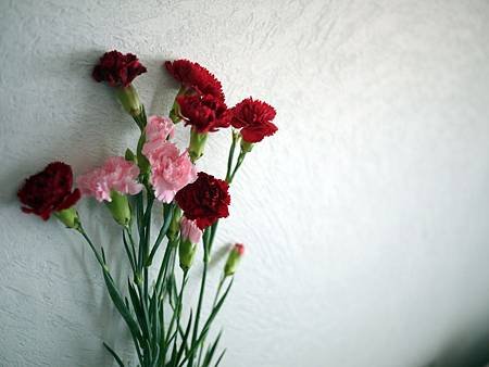 P1100854