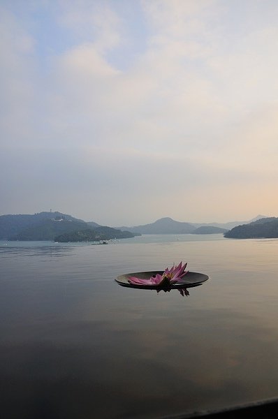 DSC_5571.jpg