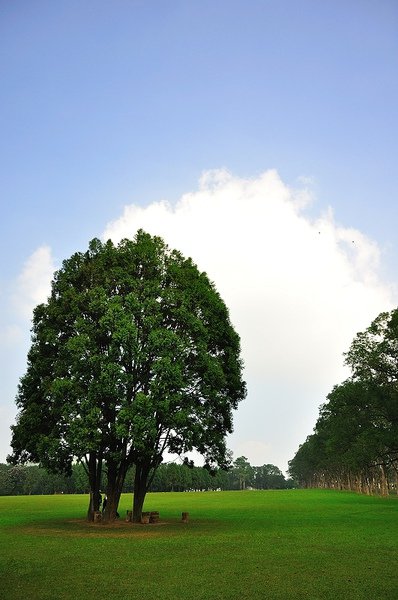 DSC_5379.jpg