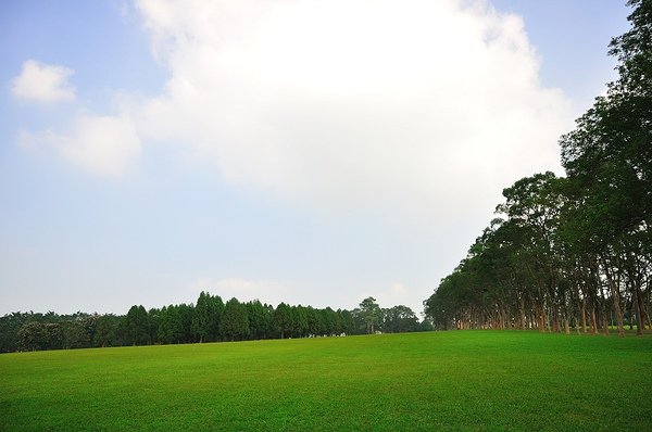 DSC_5382.jpg