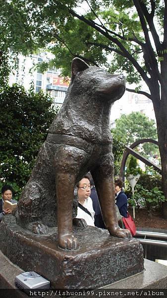 好萊塢的忠犬小八 vs 日本的忠犬八公物语