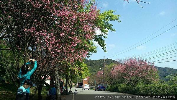 PIC000115