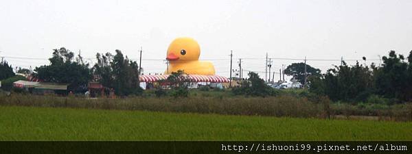 DSC04750.JPG