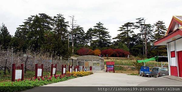 DSC05377.JPG