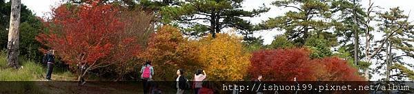 DSC05398.JPG