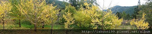 DSC05459.JPG