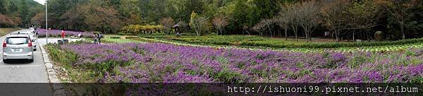 DSC05446.JPG