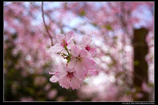 nEO_IMG_DSC04554.jpg