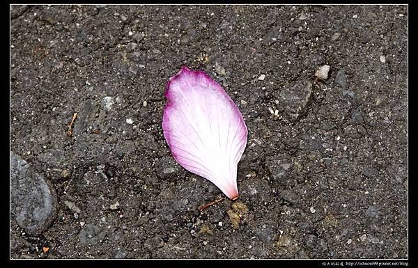 nEO_IMG_DSC05644.jpg