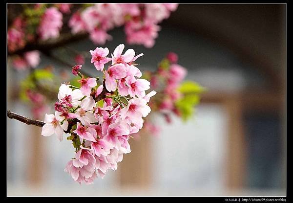 nEO_IMG_DSC05849.jpg