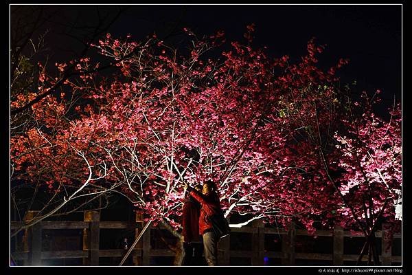 nEO_IMG_DSC03826.jpg