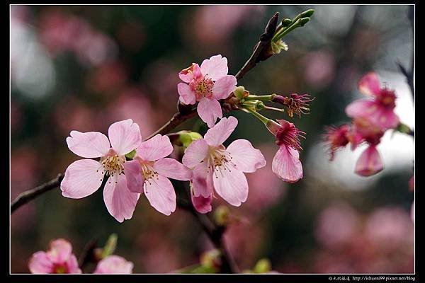 nEO_IMG_DSC04176.jpg