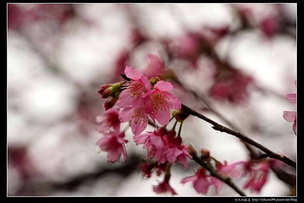 nEO_IMG_DSC04367.jpg