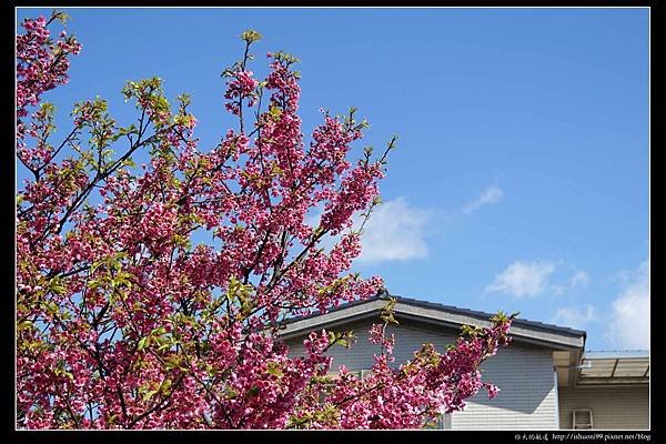 nEO_IMG_DSC02684.jpg