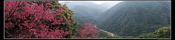 nEO_IMG_DSC02602.jpg