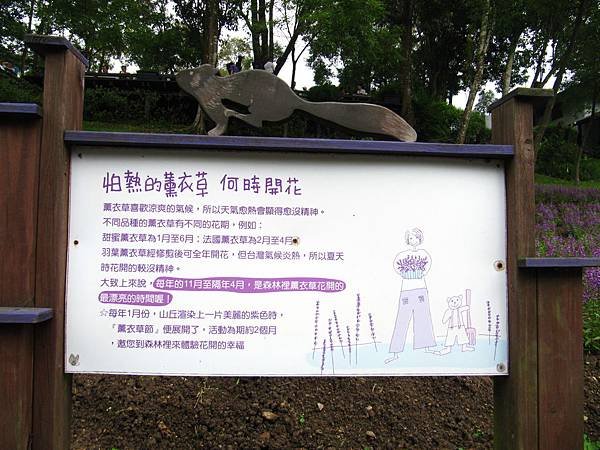 內灣+薰衣草森林 (75).JPG