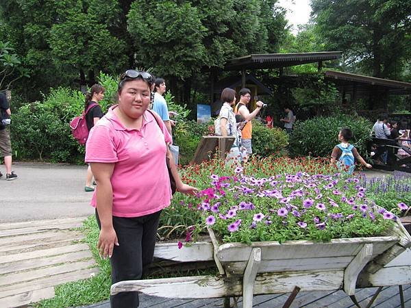 內灣+薰衣草森林 (143).JPG