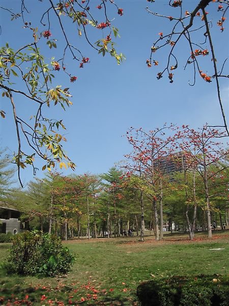 高美館