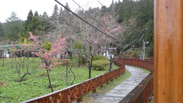 DSCN3438.JPG