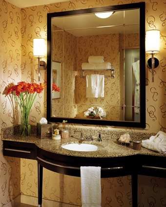 HOUCVHH_Hilton_Americas_Houston_gallery_accom_guest_bath_large.jpg