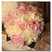 Peony 4.jpg