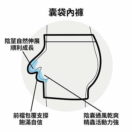 穿上好內褲，健康跟著走－男性內褲選購指南