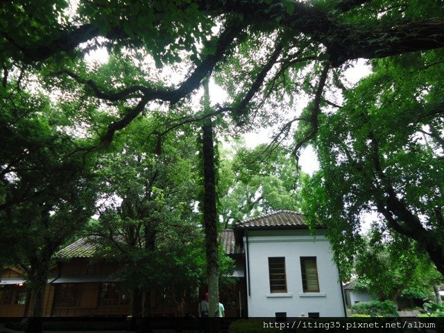 DSC00350