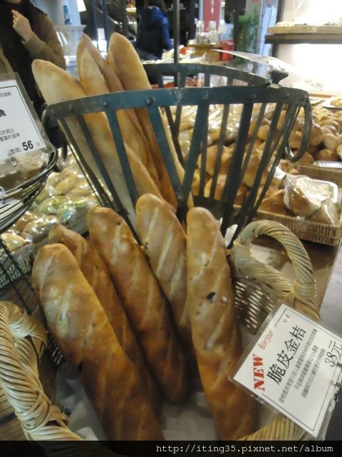 DSC08800.JPG