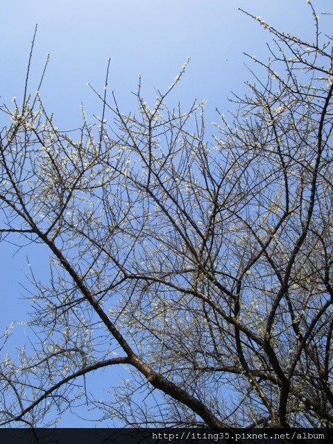 IMG_7790.JPG