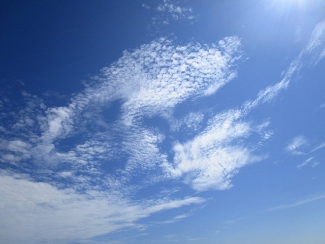 IMG_4026.JPG